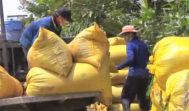 An Giang ayuda a sus agricultores en el consumo de arroz  - ảnh 2