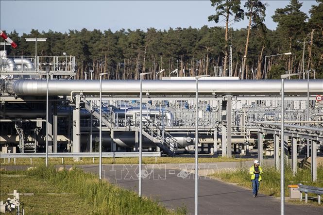 Rusia responderá a nuevas sanciones estadounidenses relacionadas con el proyecto del gasoducto - ảnh 1