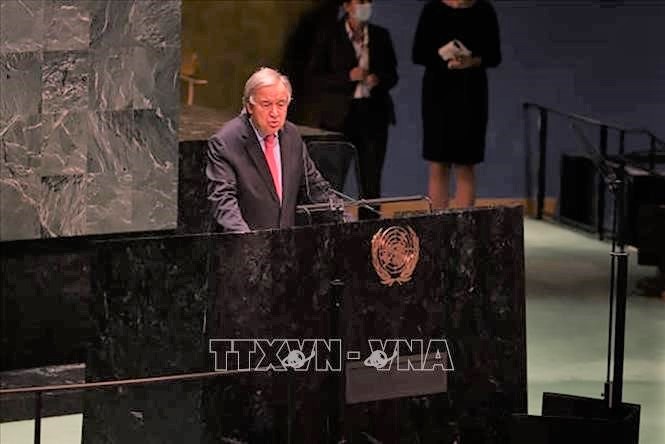 Secretario general de la ONU pide una mayor cooperación en respuesta a la pandemia y al cambio climático - ảnh 1
