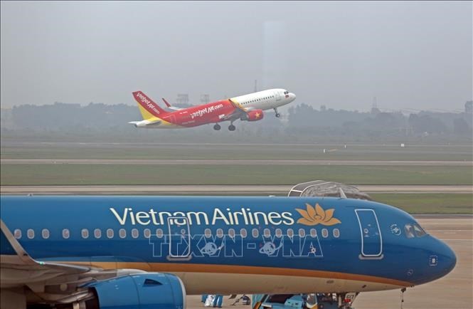 La aviación vietnamita se prepara activamente para la restauración de vuelos domésticos - ảnh 1