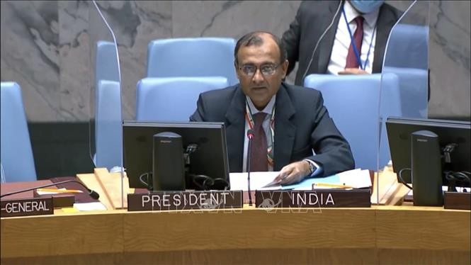 India destaca contribuciones de Vietnam en el Consejo de Seguridad de la ONU - ảnh 1