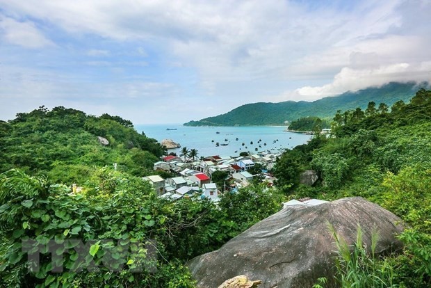 Quang Nam se afianza como destino turístico verde - ảnh 1
