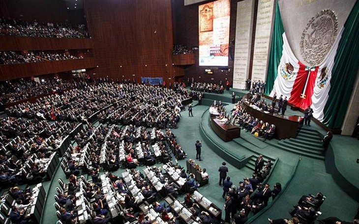 El Congreso de México inicia el debate sobre la reforma eléctrica  - ảnh 1