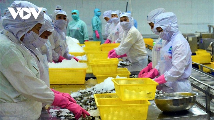 Vietnam figura entre los siete países exportadores de camarón más grandes del mundo - ảnh 1