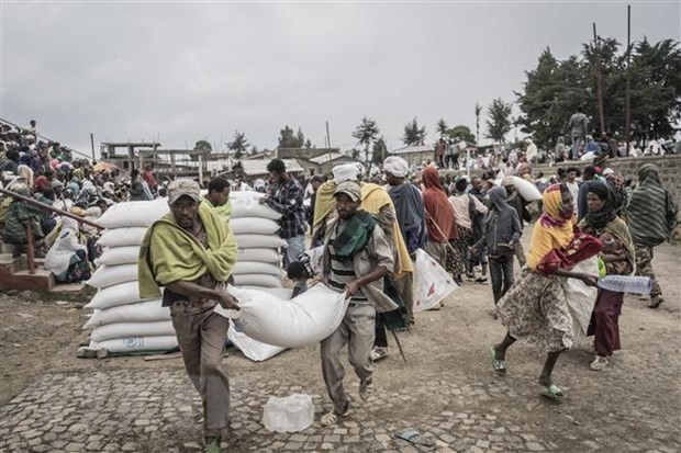 La UE busca soluciones a crisis alimentaria en África - ảnh 1