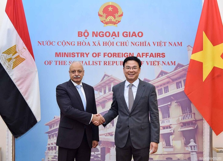 Vietnam y Egipto fortalecen su cooperación multifacética - ảnh 1