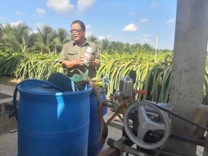 Le Van Thuy y su modelo económico eficiente de cultivo de pitaya - ảnh 2