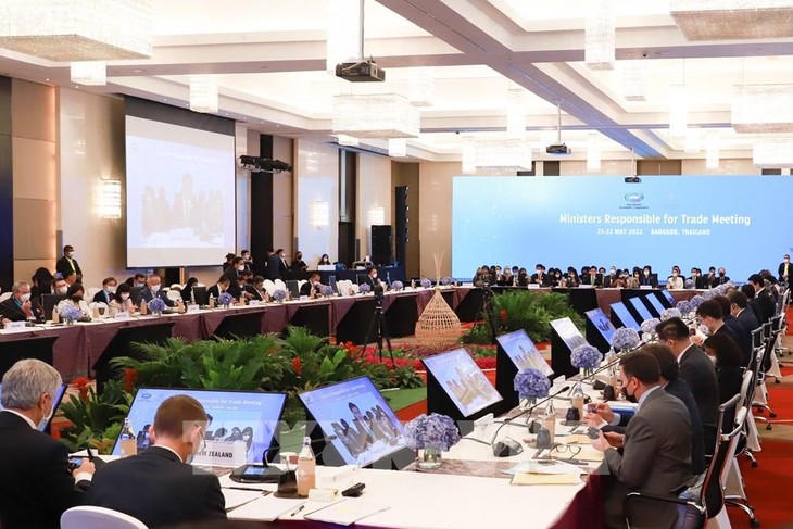 Concluye reunión de Ministros de Comercio de APEC sin comunicado conjunto - ảnh 1