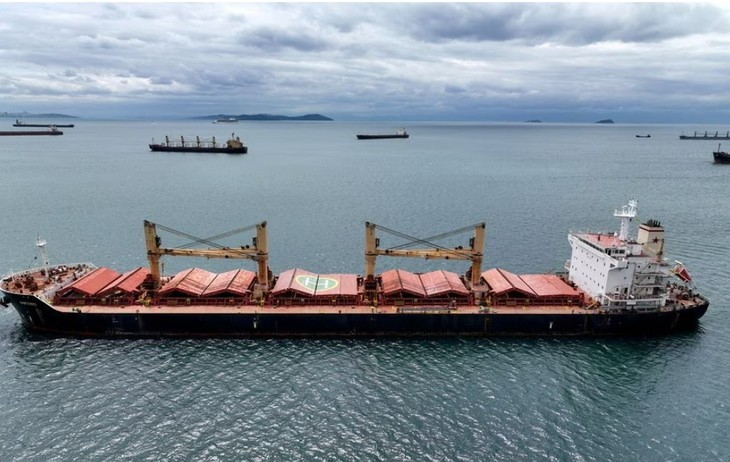 Rusia no ve razón para extender acuerdo de granos del Mar Negro - ảnh 1