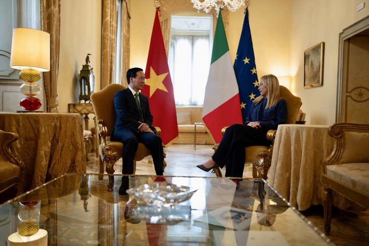 Presidente vietnamita se reúne con altos dirigentes italianos - ảnh 1