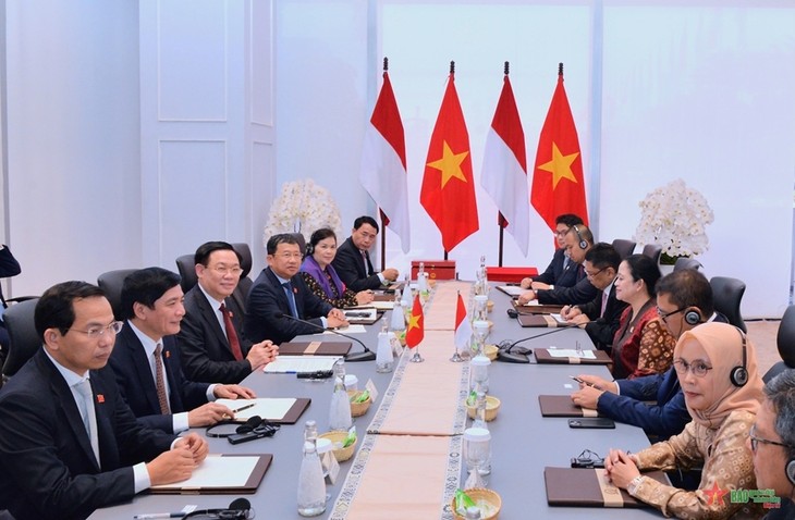 Vietnam e Indonesia sostienen conversaciones de alto nivel - ảnh 1