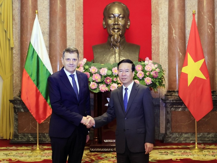 Presidente de Vietnam recibe a embajadores foráneos - ảnh 1