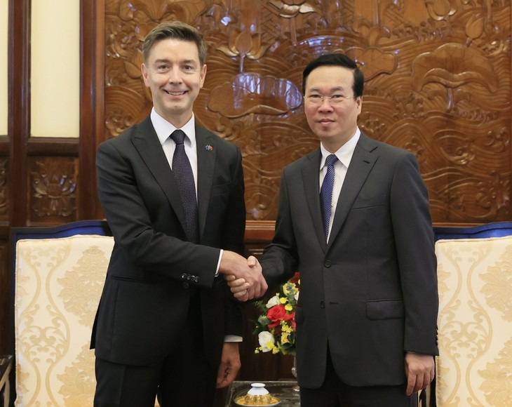 Presidente de Vietnam recibe a embajadores foráneos - ảnh 2