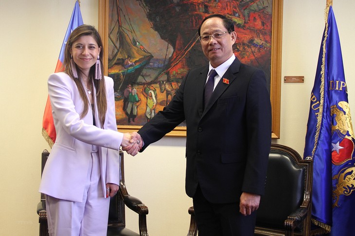 Vietnam y Chile buscan fortalecer amistad y cooperación - ảnh 2