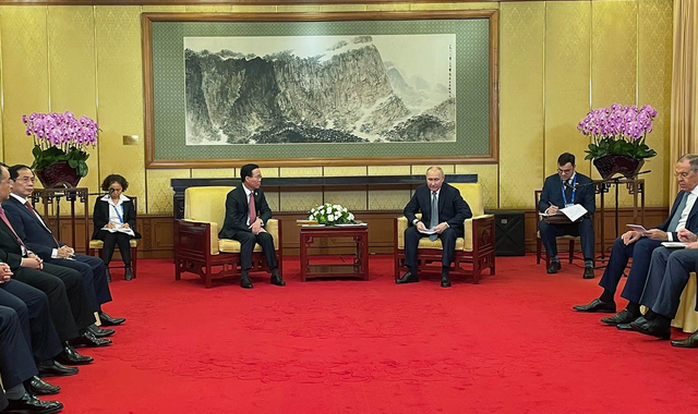 Presidente de Vietnam se reúne con su homólogo ruso - ảnh 1