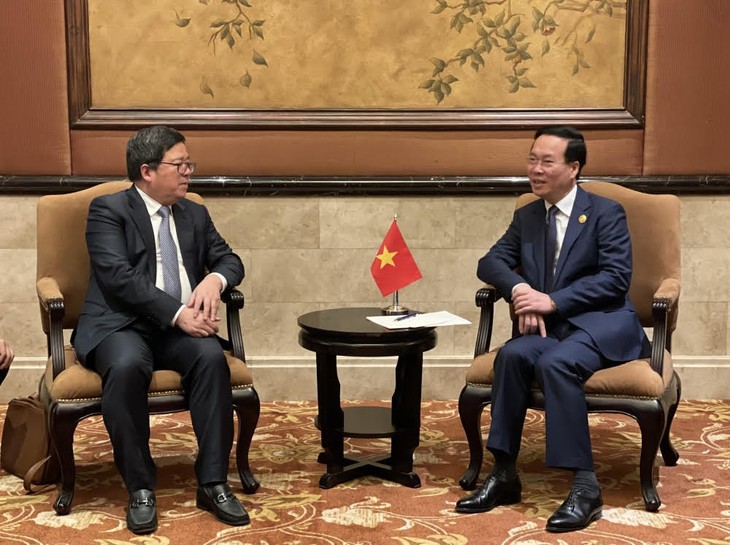 Presidente de Vietnam recibe a ejecutivos de corporaciones chinas - ảnh 1