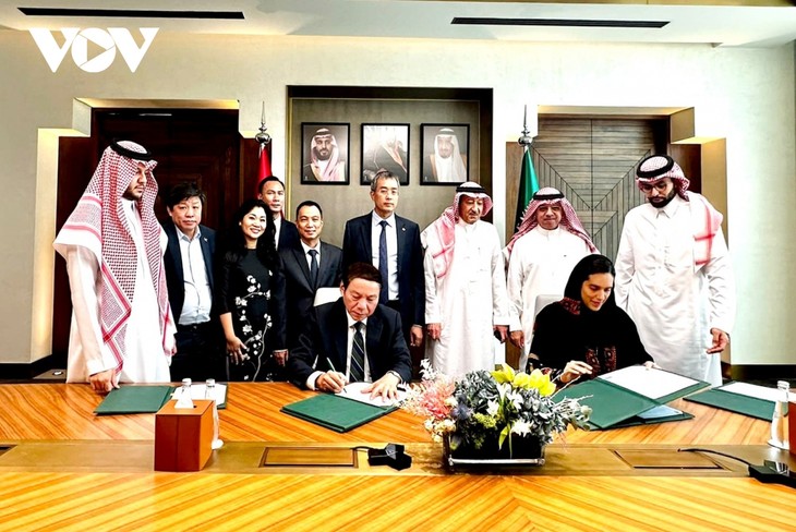 Vietnam y Arabia Saudita firman un plan de acción en el sector turístico - ảnh 1