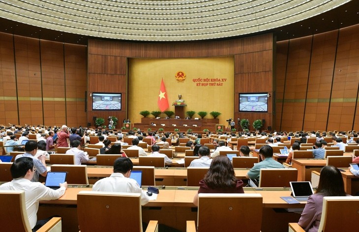 Parlamento de Vietnam aprueba resolución sobre reforma de política salarial - ảnh 1