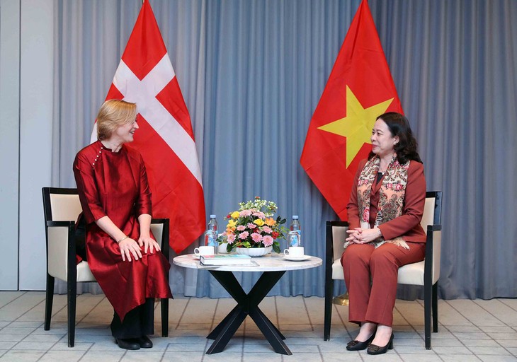 Vicepresidenta de Vietnam se reúne con representantes de la Asociación de Amistad Dinamarca – Vietnam - ảnh 1