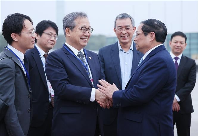 Vietnam: Miembro activo en las relaciones ASEAN-Japón - ảnh 1