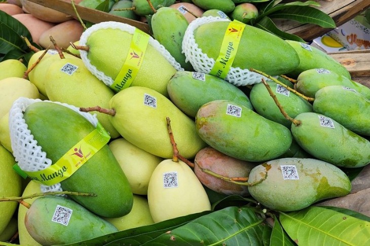 Exportación de verduras y frutas procesadas de Vietnam supera mil millones de dólares  - ảnh 1