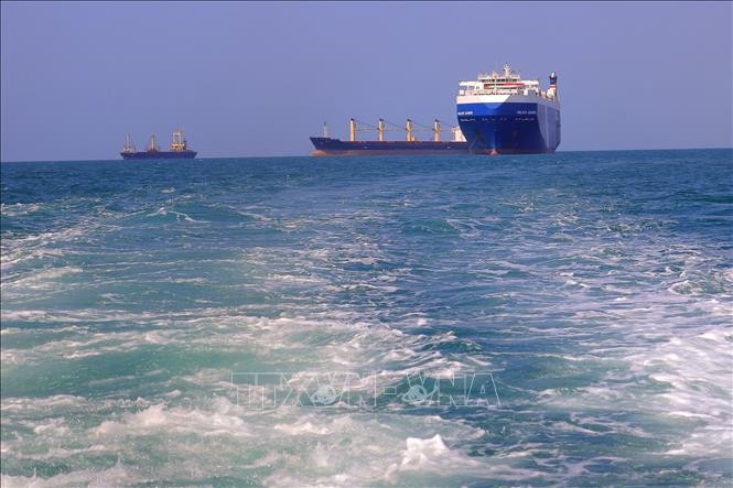 Barcos podrían navegar sin ser atacados en el mar Rojo si emiten declaración previa  - ảnh 1