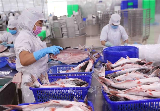 Exportaciones agroforestales y pesqueras de Vietnam aumentan un 79​% en enero - ảnh 1