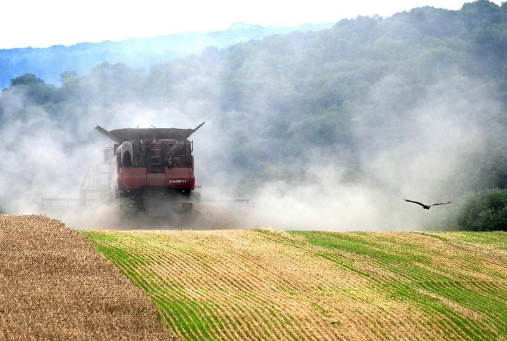 UE planea frenar importaciones agrícolas ucranianas - ảnh 1