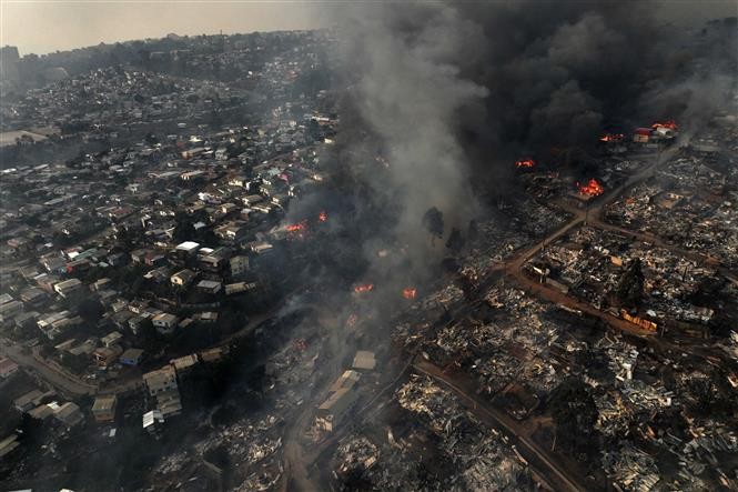 Al menos 46 personas murieron por los incendios forestales en Chile - ảnh 1