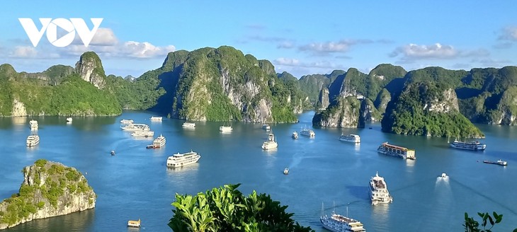 La bahía de Ha Long elegida como el segundo destino natural más bello del mundo  - ảnh 1