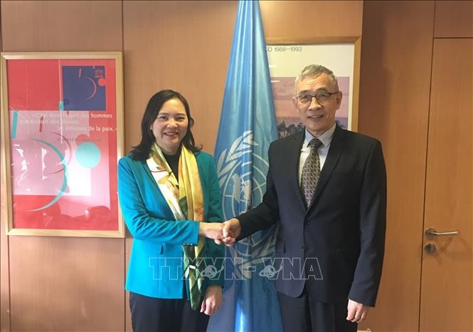 Vietnam busca profundizar aún más la cooperación efectiva y sustantiva con la UNESCO - ảnh 1