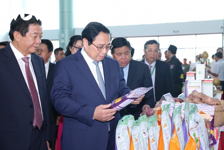Premier insta a Vinh Long a aprovechar al máximo recursos para el desarrollo - ảnh 1
