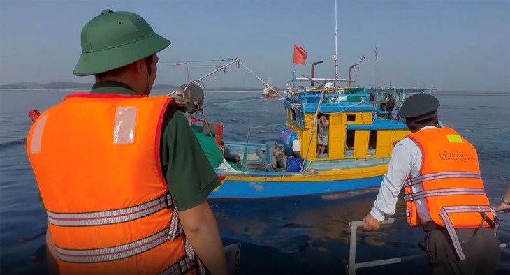 Quang Ngai listo para recibir equipo de inspección de CE sobre pesca ilegal - ảnh 1