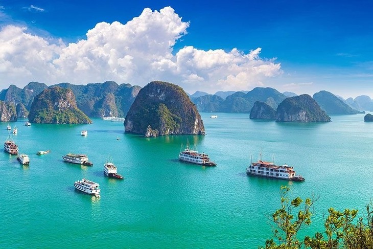 Sitio web de promoción turística de Vietnam mantiene calificaciones regionales - ảnh 1