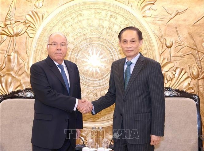 Vietnam y Brasil consolidan cooperación en relaciones exteriores - ảnh 1