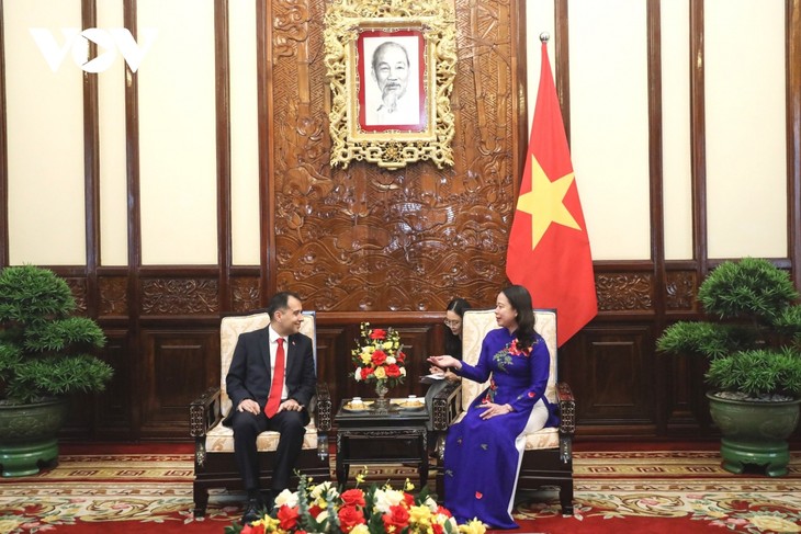 Presidenta interina de Vietnam recibe a nuevos embajadores extranjeros  - ảnh 2