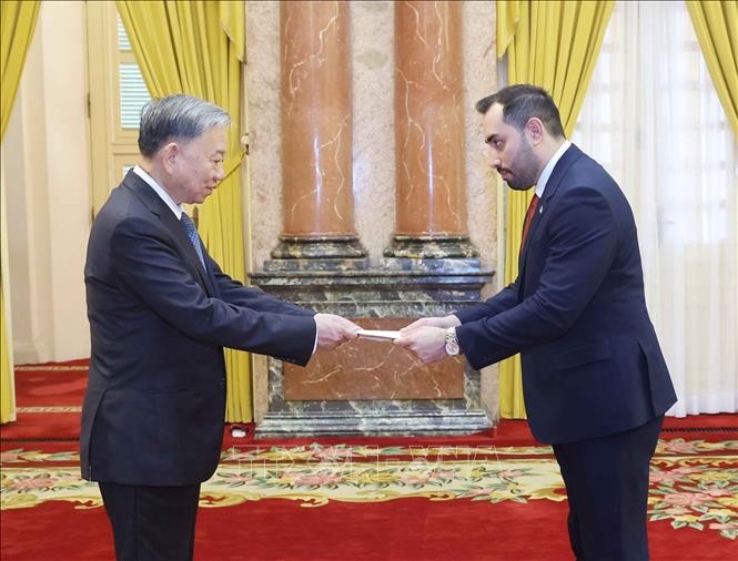 Presidente de Vietnam recibe a embajadores extranjeros - ảnh 1
