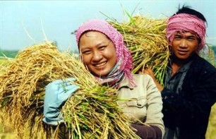 หน่วยงานการเกษตรบรรลุการขยายตัวอย่างน่ายินดีในไตรมาสแรกของปี 2012 - ảnh 1