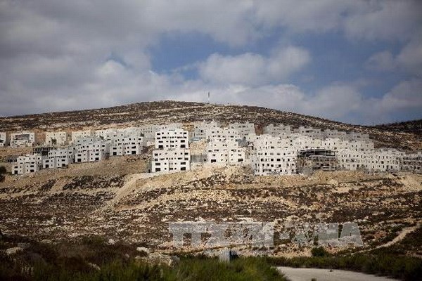 อิสราเอลก่อสร้างที่อยู่อาศัยกว่า 550 หลังในเขตเยรูซาเล็มตะวันออก - ảnh 1