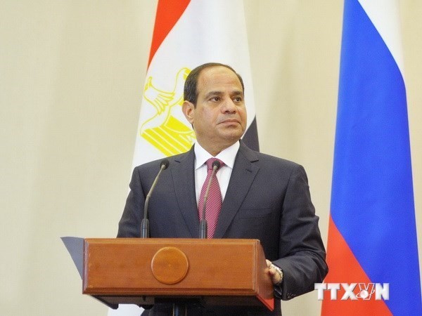 ประธานาธิบดีอียิปต์ประกาศว่าจะจัดการเลือกตั้งรัฐสภาก่อนปลายเดือนมีนาคมปี 2015 - ảnh 1