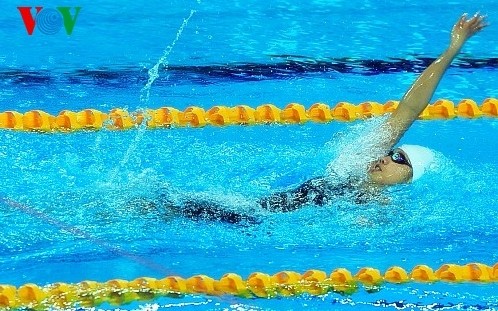 นักว่ายน้ำ เหงียนถิแอ๊งเวียนได้รับการคัดเลือกเป็นนักกีฬาดีเด่นประจำปี 2014  - ảnh 1