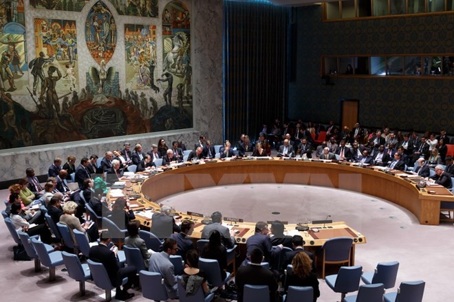 UNSC หารือเกี่ยวกับการปะทะระหว่างอิสราเอลกับปาเลสไตน์ - ảnh 1