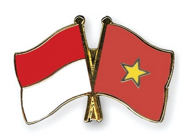 การเจรจารอบที่ 7 ระดับผู้เชี่ยวชาญกำหนดเขตเศรษฐกิจจำเพาะเวียดนาม-อินโดนีเซีย - ảnh 1