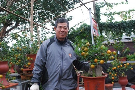 ต้นส้มจี๊ดมินิบอนไซ- แนวทางพัฒนาใหม่ของหมู่บ้านต้นส้มจี๊ดตื๊อเลียน - ảnh 1