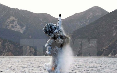 ยังไม่มีมาตรการสำหรับปัญหานิวเคลียร์บนคาบสมุทรเกาหลี - ảnh 1
