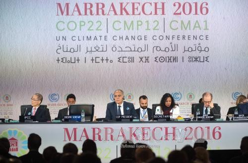 การประชุม COP 22 แปรข้อตกลงปารีสเป็นการปฏิบัติ - ảnh 1