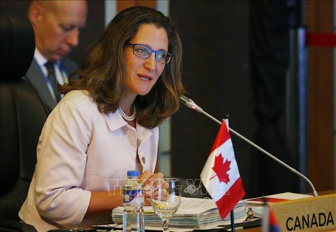 รัฐมนตรีต่างประเทศแคนาดายืนยันถึงความปรารถนาผลักดันความสัมพันธ์กับอาเซียน - ảnh 1