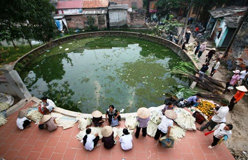 บ่อน้ำ-สมบัติของหมู่บ้านชนบทเวียดนาม - ảnh 2