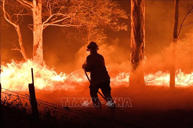 ออสเตรเลียผลักดันงานด้านการดับเพลิงและป้องกันไฟป่า - ảnh 1