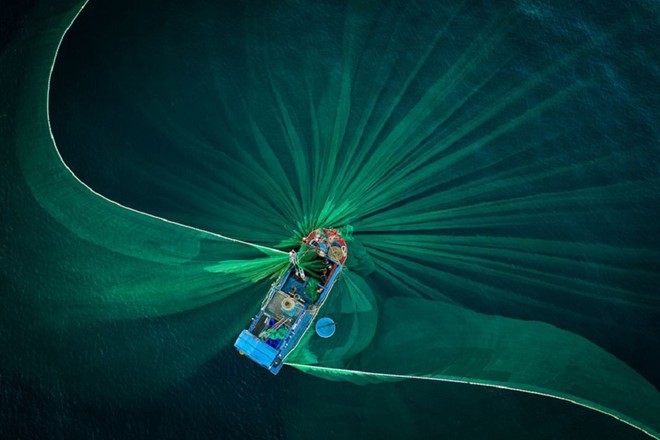 ภาพถ่ายรถขายปลาสวยงามเคลื่อนที่เวียดนามของช่างภาพอังกฤษได้รับรางวัลในสหรัฐ - ảnh 5